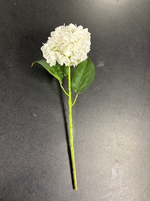 White Large Hydrangea - pack of 10